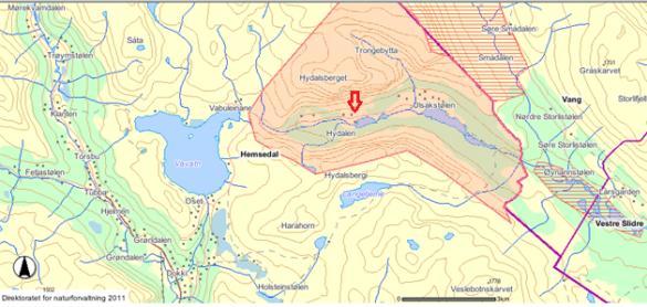 Figur 1. Hydalen ligger i Hemsedal kommune. Hydalen landskapsvernområde er avmerket med rødt.