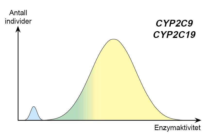 Warfarin: Aktiv inaktiv Losartan: Inaktiv aktiv CYP2C9 Ca. 1 % Ca. 15 % Ca.