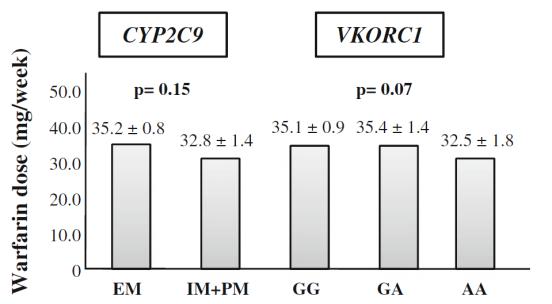 Dosering av warfarin ut fra VKORC1-genotype A/A G/A 70-åring uten noen av