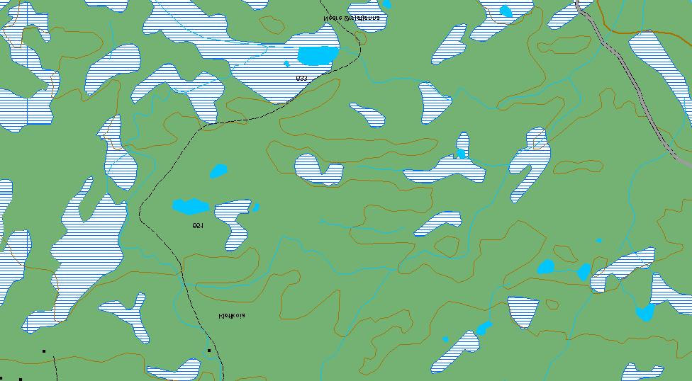 685 3000 Aursjøvola, (Rendalen). Grenser for verneverdig skogområde.