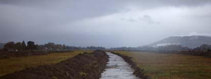 Undergrunnen består av lys gul til grågul leireaktig silt.