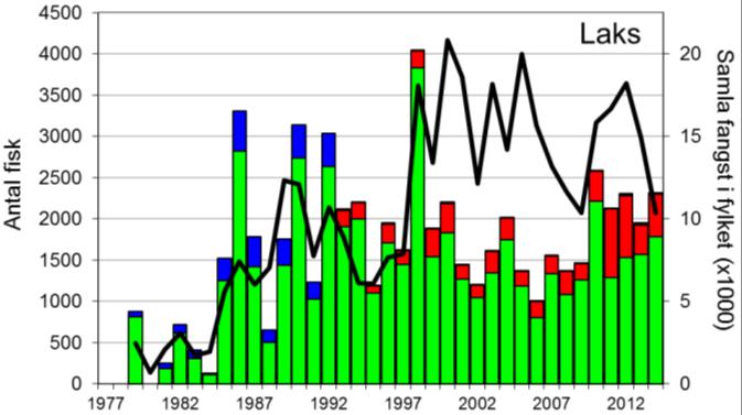 FANGST OG SKJELPRØVAR I OGNA Gjennomsnittleg årsfangst av laks i perioden 1985-2014 var 1932 (snittvekt 2,2 kg).