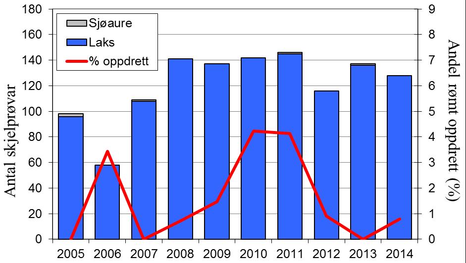 Deretter har fangstane gått jamt nedover, etter 2001 har det vore fanga færre enn 30 sjøaure per år. Etter rekordåret 1998 fall laksefangstane i Ogna i høve til resten av fylket.