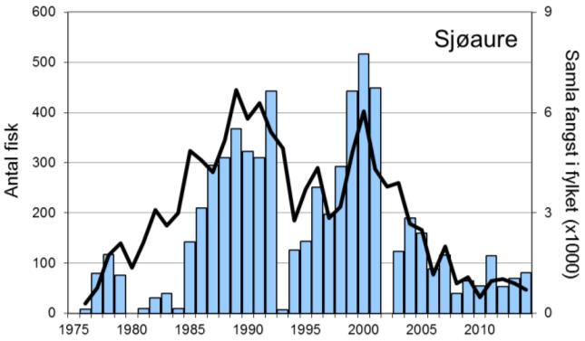 FANGST OG SKJELPRØVAR I BJERKREIMSELVA Gjennomsnittleg årsfangst i perioden 1976-2014 var 3290 laks (snittvekt 2,2 kg) og 172 sjøaurar (snittvekt 0,8 kg).