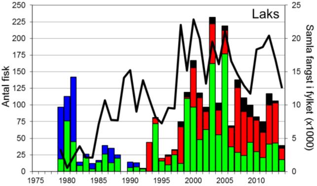 FANGST OG SKJELPRØVAR I ULLA Gjennomsnittleg årsfangst i perioden 1975-2014 var 78 laks (snittvekt 3,5 kg) og 17 sjøaure (snittvekt 1 kg).