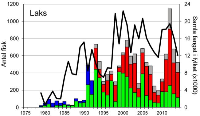 Etter tre år med heller dårlege fangstar i 2008-2010, auka fangstane att, og i 2012 vart det fanga 1144 laks, det klart beste resultatet for Årdalselva.