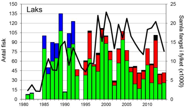 FANGST OG SKJELPRØVAR I JØRPELANDSELVA Gjennomsnittleg årsfangst av laks i perioden 1980-2014 var 70 (snittvekt 2,6 kg).