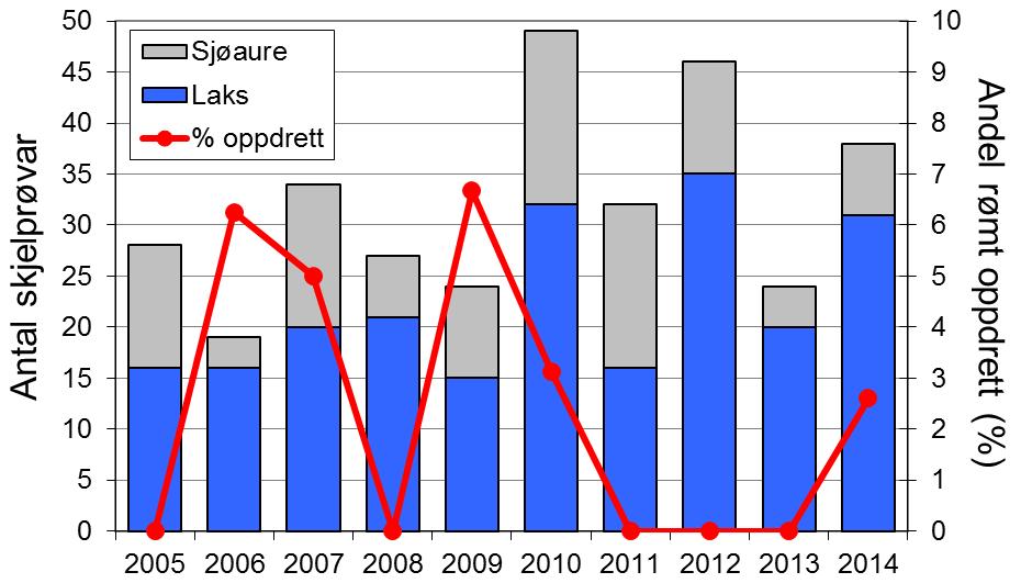 For sjøaure er det derimot godt samsvar mellom Lyseelva og resten av fylket. Frå 2010 har ein del av fiskane vorte sett ut att i elva, i 2014 utgjorde det 21 % av laksane og heile 71 % av sjøaurane.
