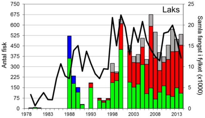 FANGST OG SKJELPRØVAR I ESPEDALSELVA Gjennomsnittleg årsfangst av laks i perioden 1988-2014 var 367 (snittvekt 3,8 kg).