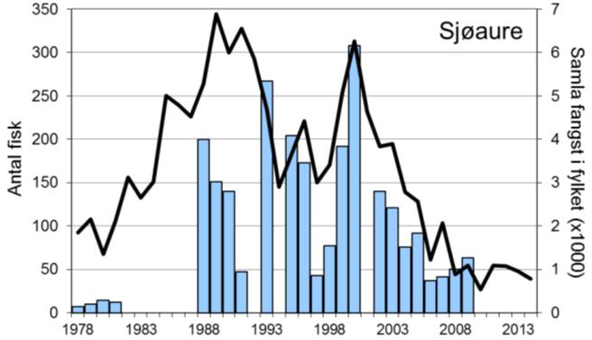 Også enkeltår etter 1988 ser det ut til å vera manglande rapportering. I 2014 vart det fanga 533 laks (snittvekt 4,8 kg), eit av dei beste resultata for heile perioden.