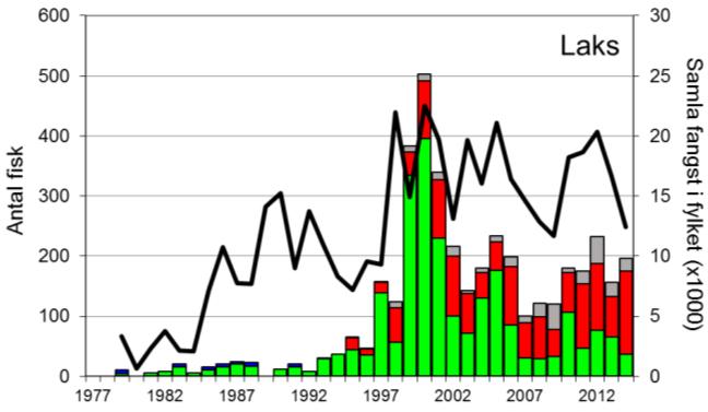 FANGST OG SKJELPRØVAR I FRAFJORDELVA Gjennomsnittleg årsfangst av laks i perioden 1979-2014 var 122 (snittvekt 3,1 kg).