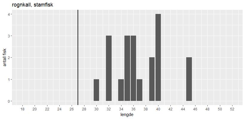 12 Figur. 11. Lengdefordeling av rognkall som ble fisket høsten 2016 (sendt av Bjørnar Sørvik Gundersen; Skjerneset fisk AS). 3.3 Bifangst Vi vet veldig lite om bifangst i fisket etter rognkjeks.