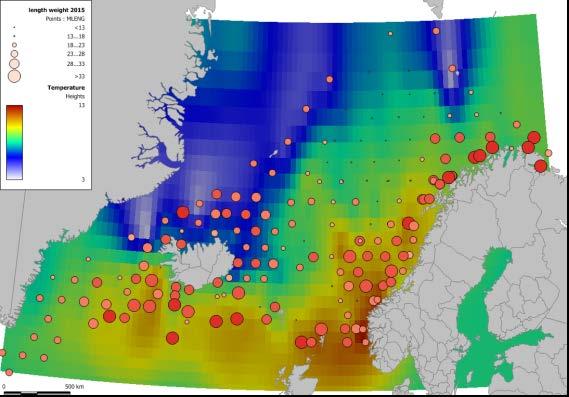 172 Havforskningsinstituttet, september 2017 5 Figur 3. Kart som viser stasjoner trålet under IESSNS undersøkelsen (juli - august 2015). De røde sirklene indikerer hvor rognkjeks ble fanget.