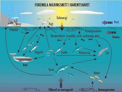 Utfordringene med klimaforskning 1. En art eller en bestand av en art må sees i sammenheng med det totale økosystemet den er en del av.