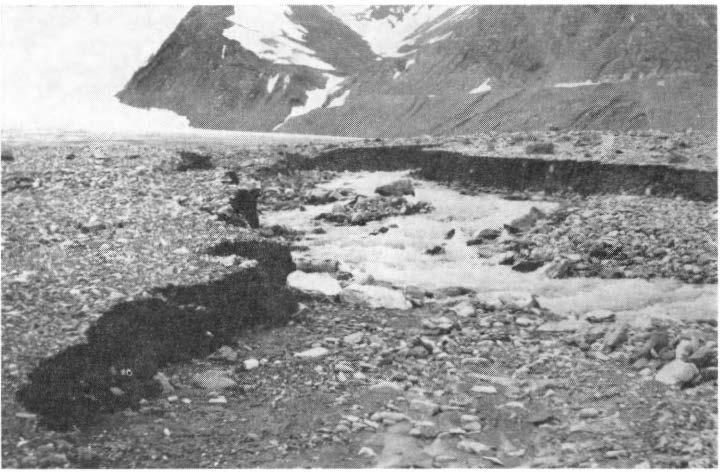 98 JAN SZUPRYCZYNSK Fig. 5. Marginal outwash in front of Wtrtnskioldbreen. August 1960. Photo: J. SzuPRYCZYNSK. distinctly sorted.