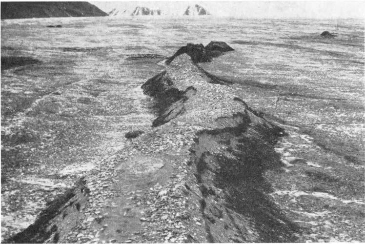 RELEF OF THE MARGNAL ZONE OF WERENSKOLDBREEN 103 Fig. 7. Esker on surface of Werenskioldbreen. July 1960. Photo: J. SzuPRYCZYNSK. esker.
