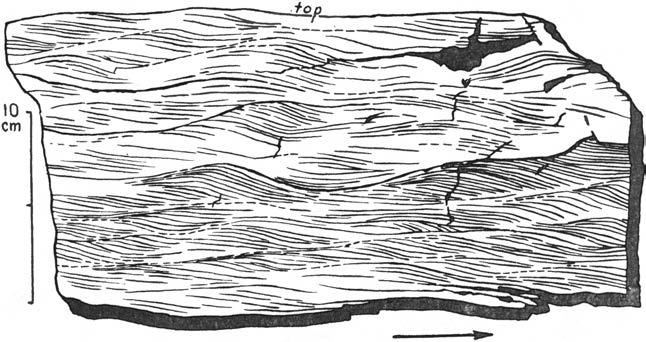 ch - normal chevron mark (singly ruffled groove), most probably drag east; t - east of an undetermined tool which changed its way leaving a deep groove obliquely to the current direction before it