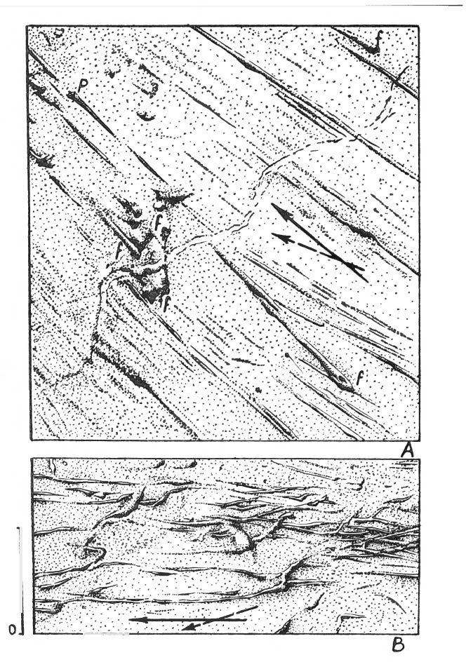 144 KRZYSZTOF BRKENMAJER 101 cm 0 5 cm 0..... :. Fig. 5. Sok markings of the Keltiefjel/,et Division at Lykta. A - Sole of alfine grained sandstone.