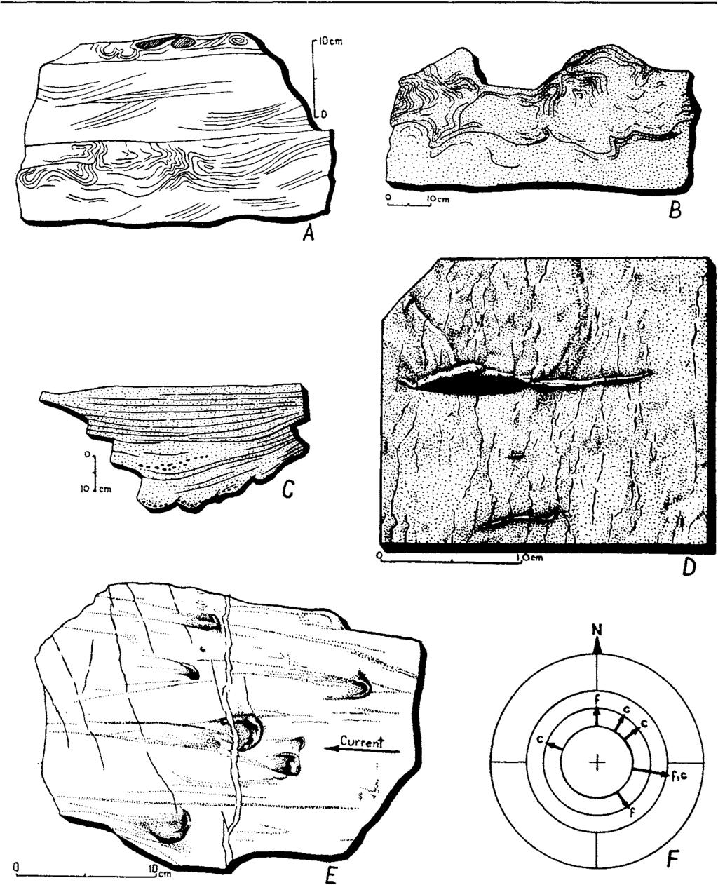 148 KRZYSZTOF BRKENMAJER N 0 A - Fig. 7. Sedimentary structures of the Keltiefjellet Divis1:on at Lykta.