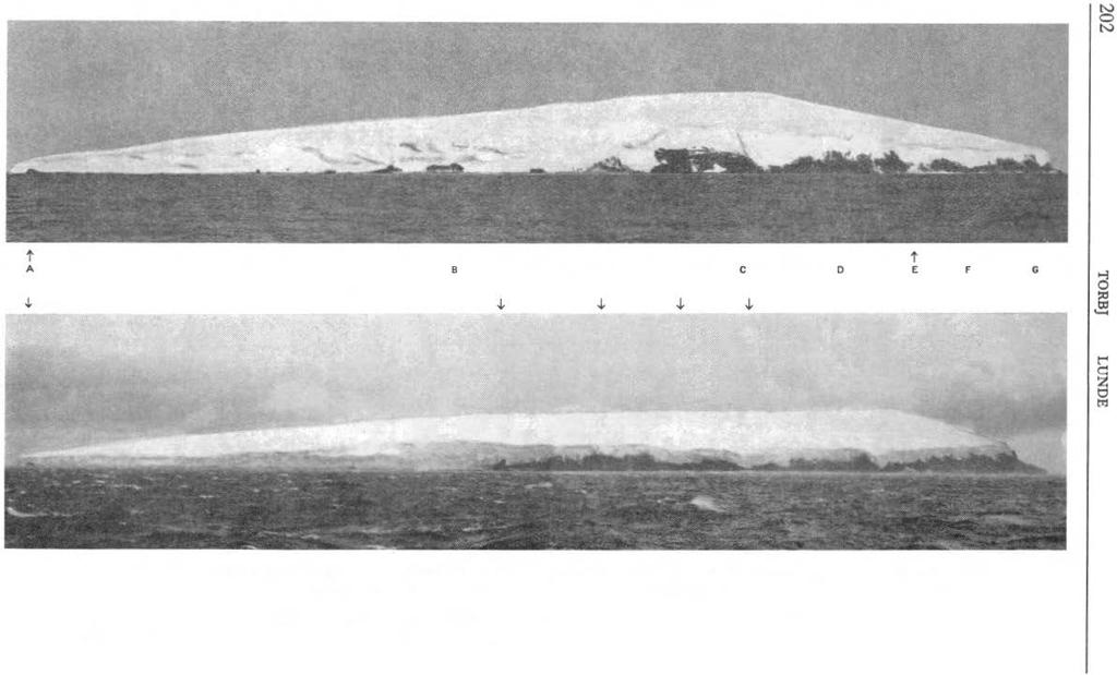 t t t t t t A 8 c 0 E F A 8 c D E F G,j, +.J,.J,.j, + + Fig. 4. Bouvetøya sett fra aust i 1928 (øverst) og t 964 (nederst). Bokstavene viser til punkter som kan kjennes igjen på begge bilder.