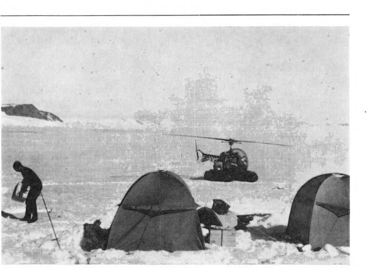 232 TORE GJELSVK Fig. 4. Helikøpteret er k<jmmet pd besøk til en av geologpartienes leir inne pd Nordenskioldbreen. Foto: J. Hus Hoek-bergarter.