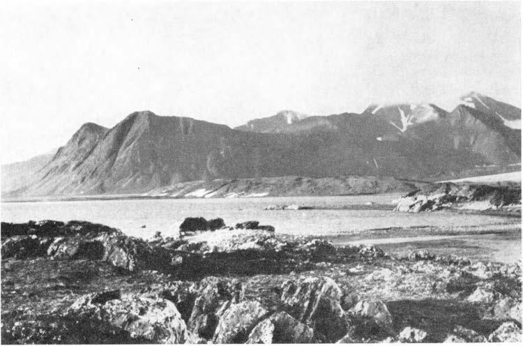 RELEF OF THE MARGNAL ZONE OF WERENSKOLDBREEN 91 ce-moraine ridges surround the glacier in a compact group.