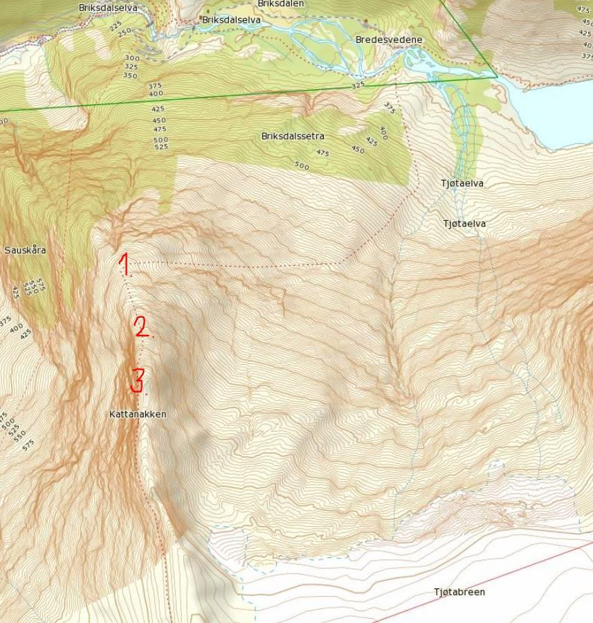 På den første lokaliseringa (merkt 2 på kartet) på ca 1160 moh var det