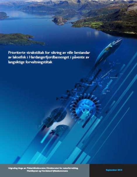 Prosjekt framlegg til tiltak for betre gyte og leveområde for anadrom fisk Temagruppe vassdrag i prosjekt strakstiltak i Hardangerfjorden for anadrom fisk prosjekt leia av Fiskeridirektoratet