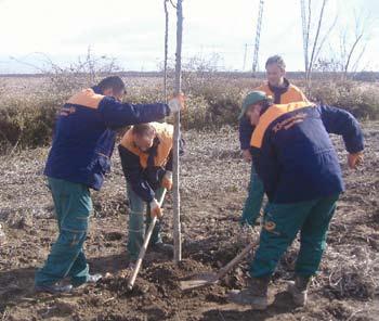 Се ми нар о зна ча ју ве тро за шти ти них по ја се ва за вр шни це је про јек та "Не се ци мо, са ди мо " ко јег су ре а ли зо вали Оде ље ње за стра те шко и про јект но пла ни ра ње и Упра ва за