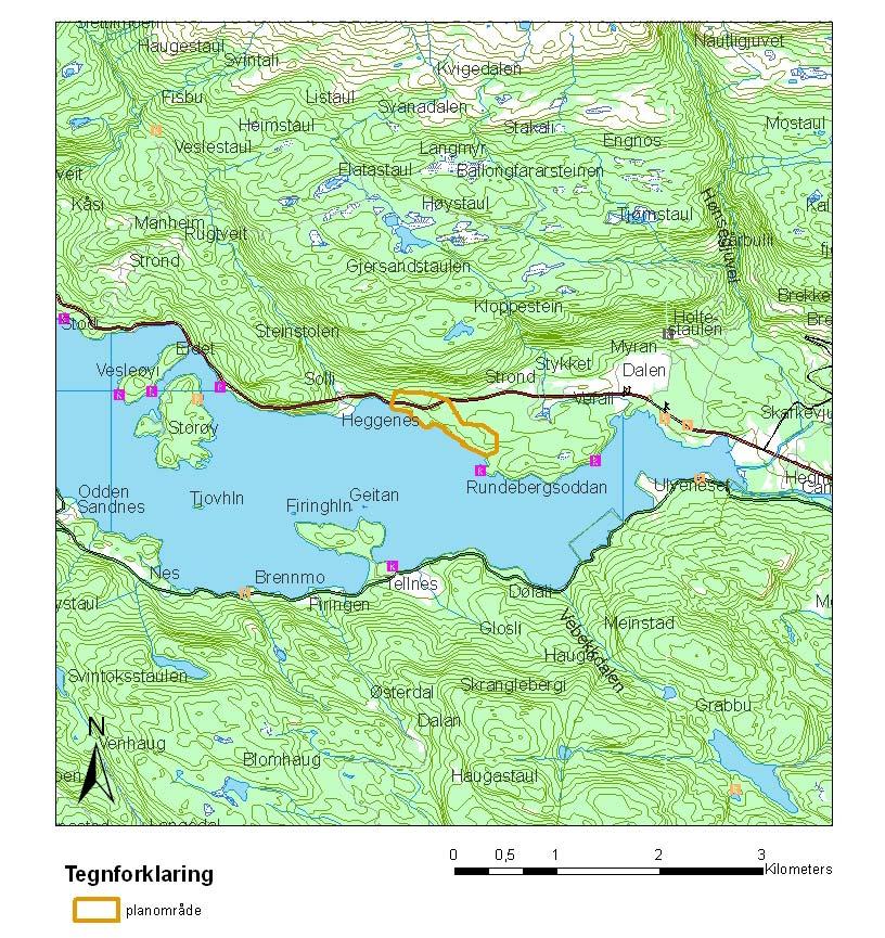 Figur 2: Planområdets beliggenhet ved Seljordsvatnet. De rosa feltene med rune-r viser automatisk fredete kulturminner.