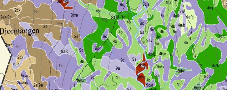 som representerer viktige utsjånadsmessige (fysiognomiske) trekk i landskapet. Lauvskog går i gulgrønt, heivegetasjon i fjellet i bruntonar, myrer i blått og jordbruksareal i gult.