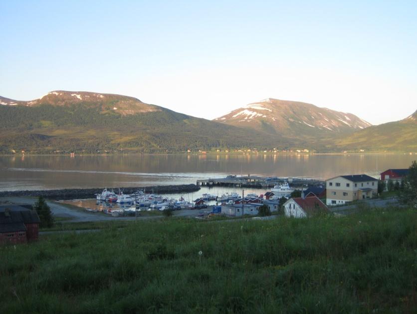 Primærnæringene Fiskeri og landbruk har vært og vil fortsatt være viktig for bosettingen i vår kommune. De danner grunnlaget for flere av våre lokale hjørnesteinsbedrifter.