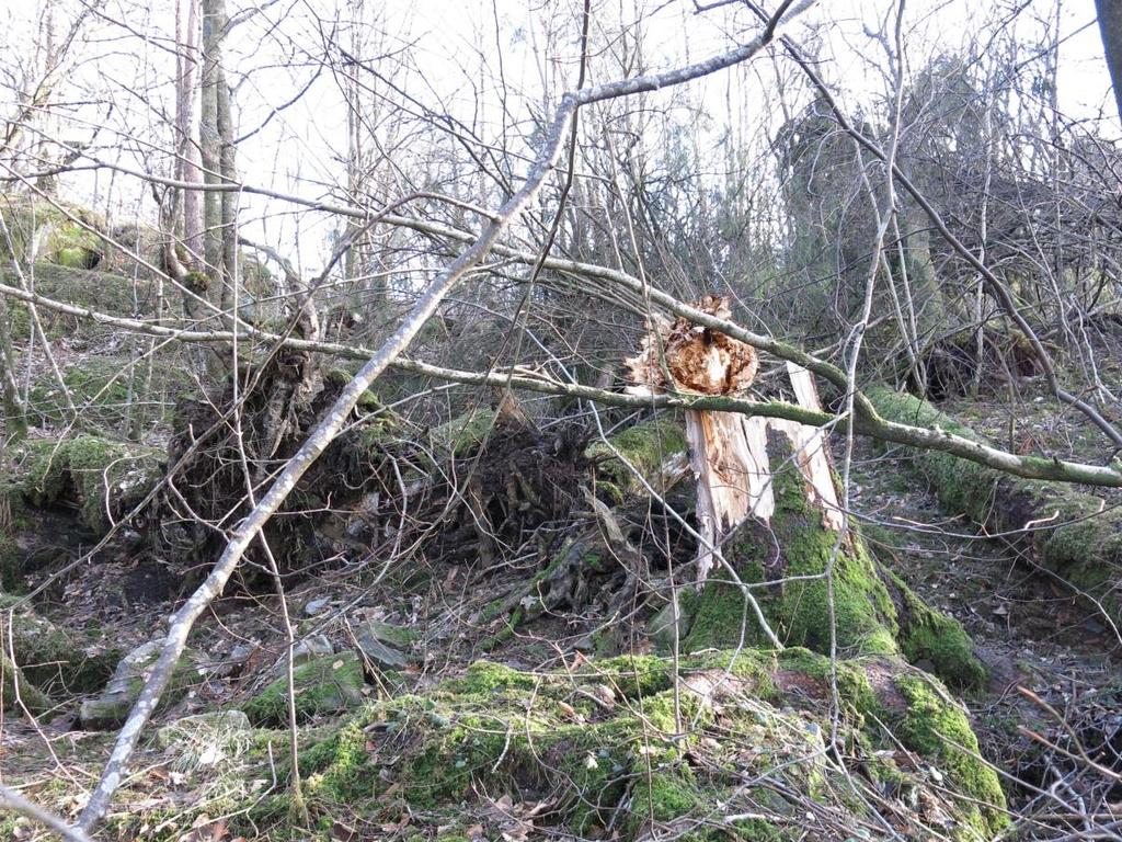 De løse blokker kan fjernes med gravemaskin under bygningsarbeid. Bilde 6.