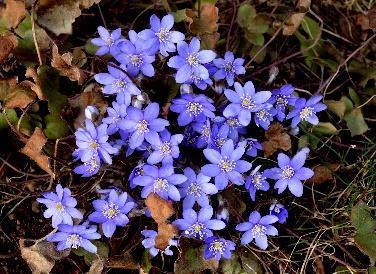 Tirsdag hadde vi ikke helt flaks med været, men vi fikk lurt oss ut en tur på formiddagen før regnet kom. Resten av dagen var vi inne i gråværet og hadde frilek.