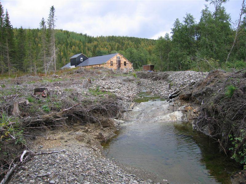 relativt produktiv granskog i kjerneområde 1.