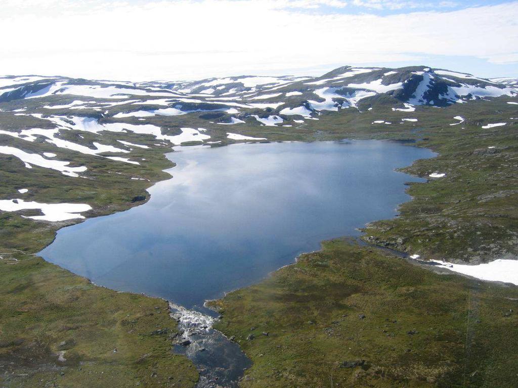 Fagrapport Fiskeforvaltning i høgfjellet Årgang 4, Nr.