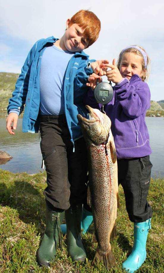 Foto: Nils Olav Runnane Ordinært garnfiske i Kvennsjøen i slutten av juli 213 viste at alle årsklassar frå og med 1997 til og med 21 inngjekk i fangstane (Fig.