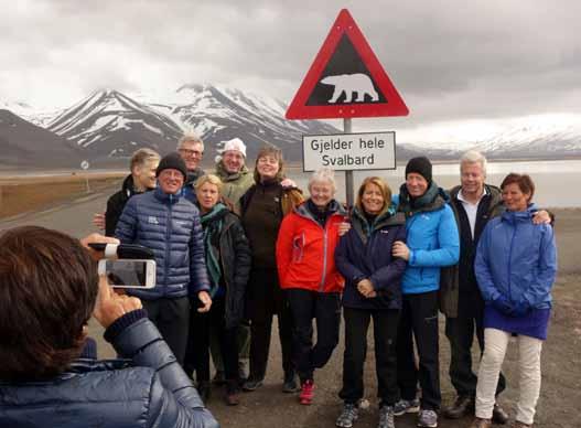 Reven er ikke redd for verken biler eller folk. Isbjørnskiltet er unikt for Svalbard og et populært fotopunkt.