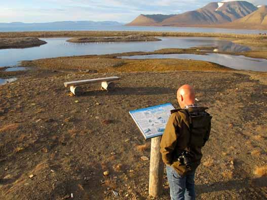 Plakatene står ute hele året og har en levetid på ca. 10 år før de må fornyes. Ved Laguna har LoFF satt opp tre forskjellige plakater.