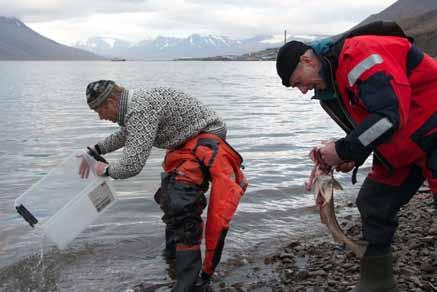 Kommer du gjennom laget med småfisk lurer større fisk lenger nede i dypet.