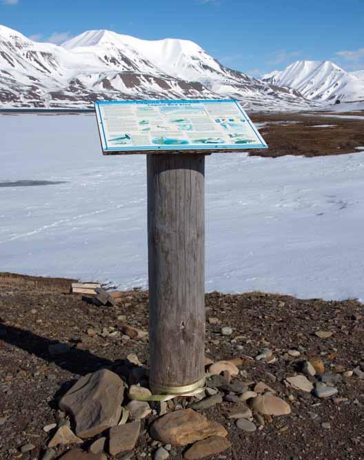 Den gamle gravplassen ved stallen, Titankrana, grava vest Laguna, steinen i fjæra ved fyret