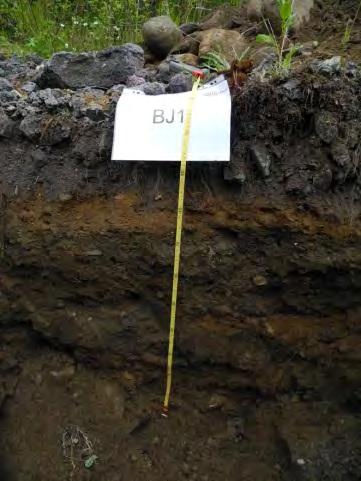 Muligens slagg fra Mo i Rana (vulkanlignende grå stein). Analyser viser høye verdier av krom.