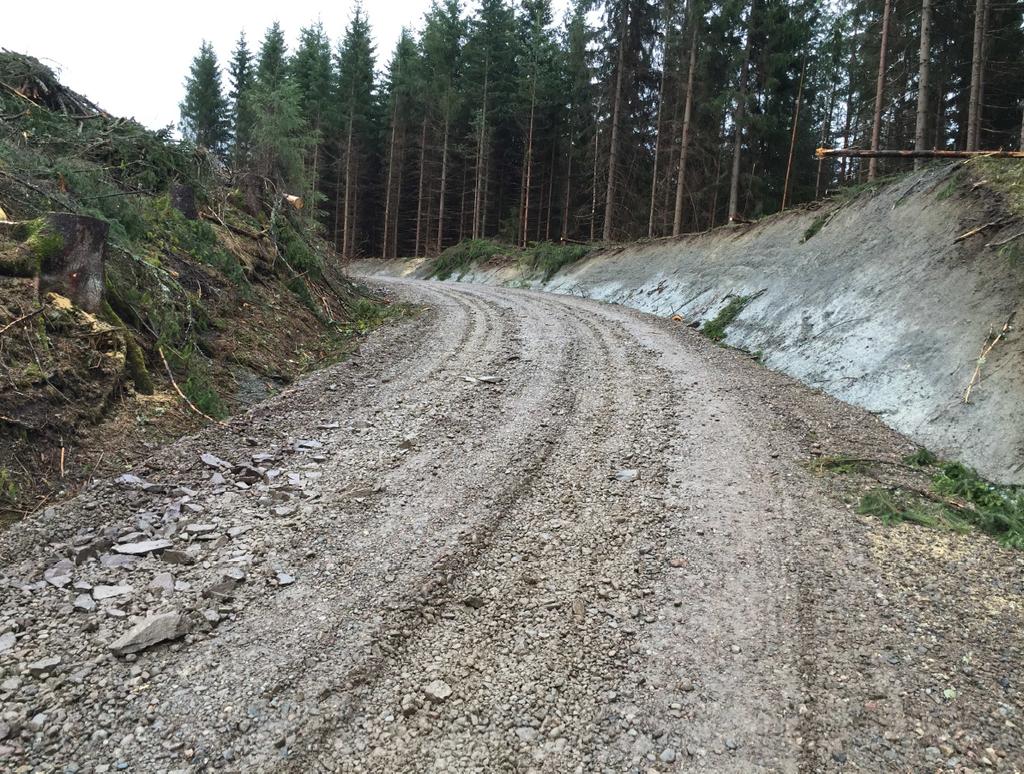 Sluttrapport om kontroll av tilskuddsforvaltningen i jord- og skogbruket i KONGSBERG kommune Opprustet skogsbilveg på Fossnesmoen, Hvittingfoss.