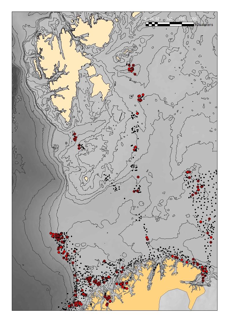 navnesetting ytterligere komplisert. I eksempelet fra Kulakov et al. (2005) har man i flere av samfunnene satt navn etter identifisert indikatorart.