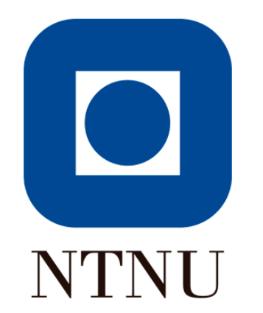 NTNU Avdeling for teknologi Studieprogram for bygg og miljø