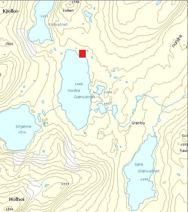 Figur 2. Kartutsnitt, plassering av Lesja fjellstyre si bu ved Grønvatnet. Vurdering Det er søkt om flytting av eksisterande hytte 30 m.