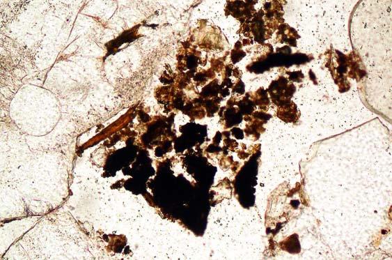 4: Hydal 7 Stone Age site; photomicrograph of M6657A; polymorphic fine