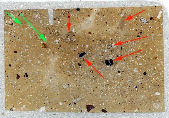 Fig. 43: Scan of M8794B mound 2 ardmark soil ; this shows the very complicated