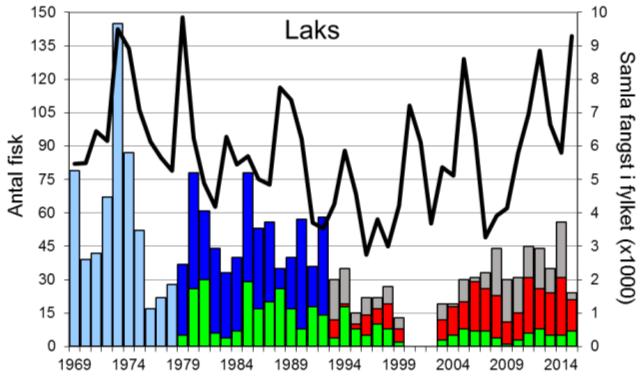 Skjel 2015 FANGST OG SKJELPRØVAR I LOENELVA Fangststatistikk I perioden 1969-2015 var gjennomsnittleg årsfangst 43 laks (snittvekt 5,8 kg) og 155 sjøaurar (snittvekt 1,4 kg).