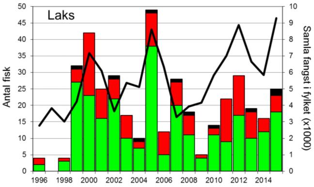 Skjel 2015 FANGST OG SKJELPRØVAR I INDREHUSELVA Fangststatistikk I perioden 1996-2015 var gjennomsnittleg årsfangst 20 laks (snittvekt 2,7 kg) og 89 sjøaurar (snittvekt 0,8 kg; figur 1, stolpar).